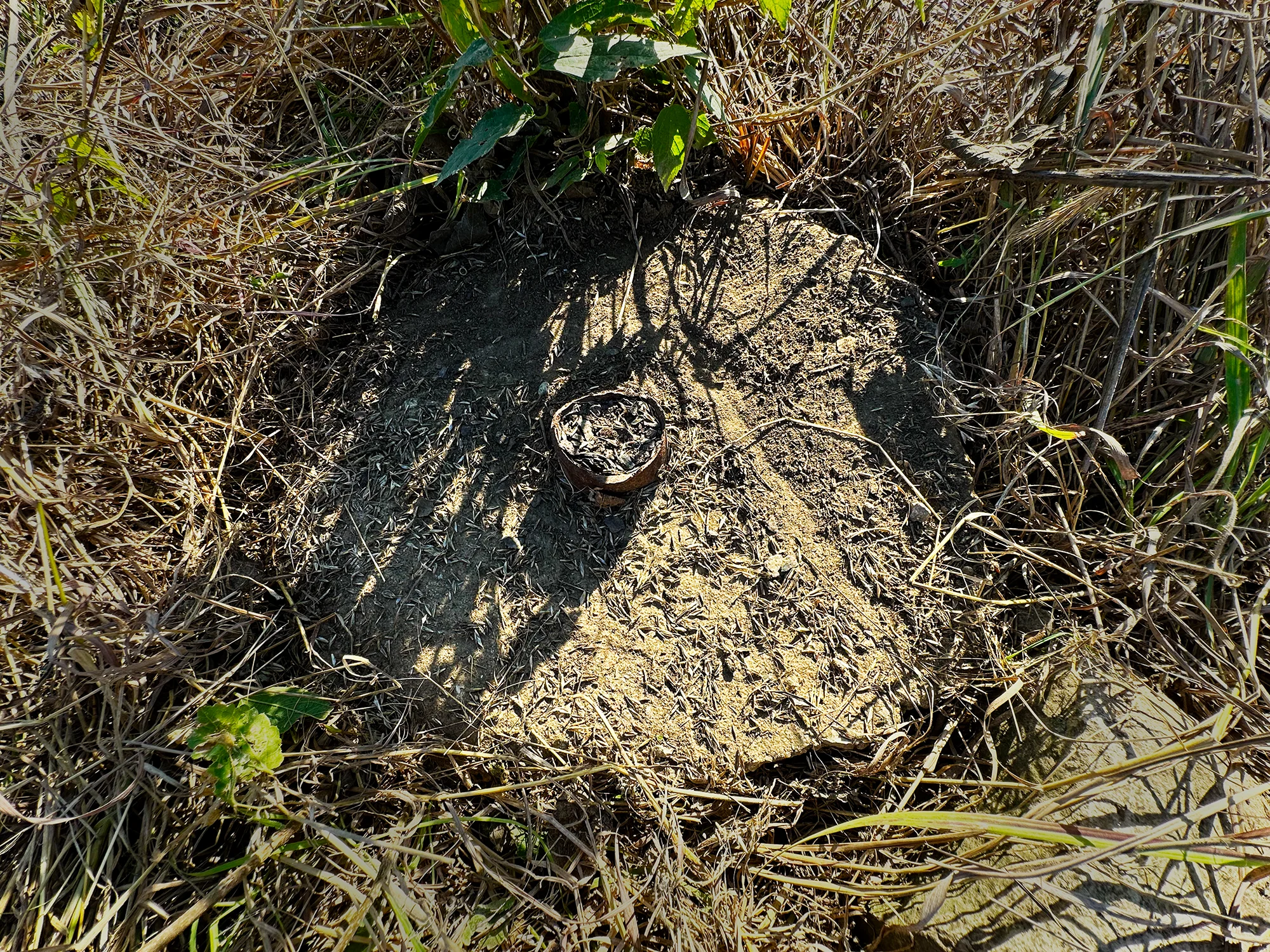 Eviscerated monument