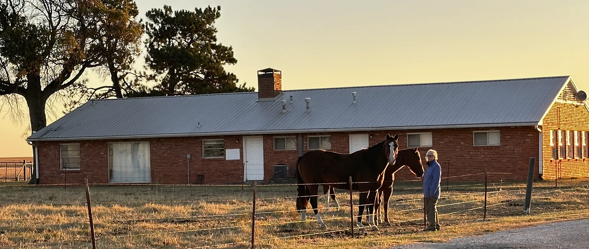Horses at Sooner Ranch