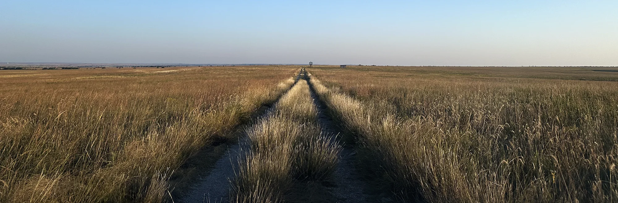 Tallgrass prairie at Sooner Ranch