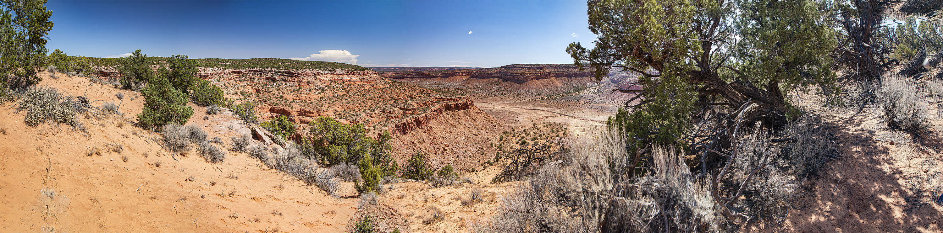 AZ-UT Mile 181 + 33 chns looking east toward Jackrabbit canyon