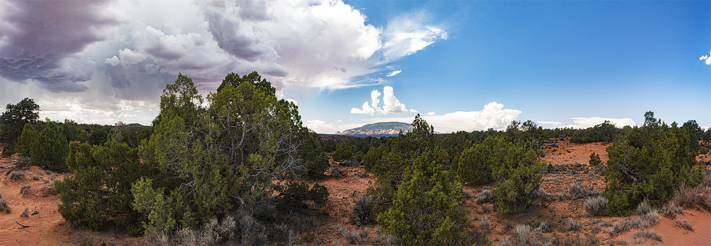 AZ-UT Mile 189 on Piute Mesa looking west toward Navajo Mountain