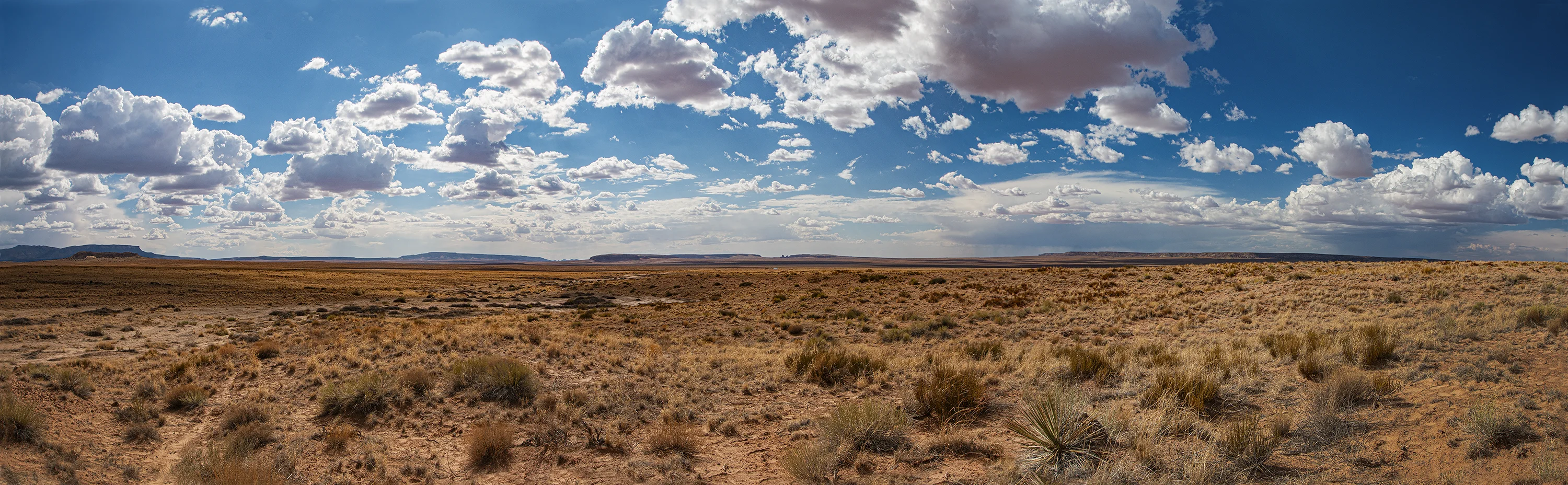 Looking west at Mile 269, approximately.