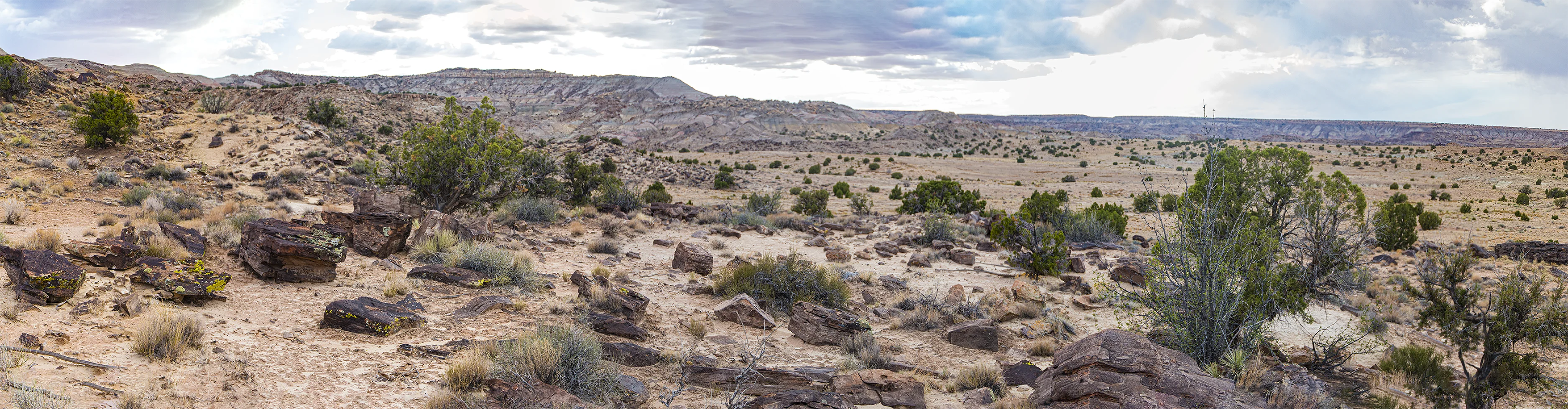 North of Teec Nos Pos: AZ-UT Mile 273 looking west