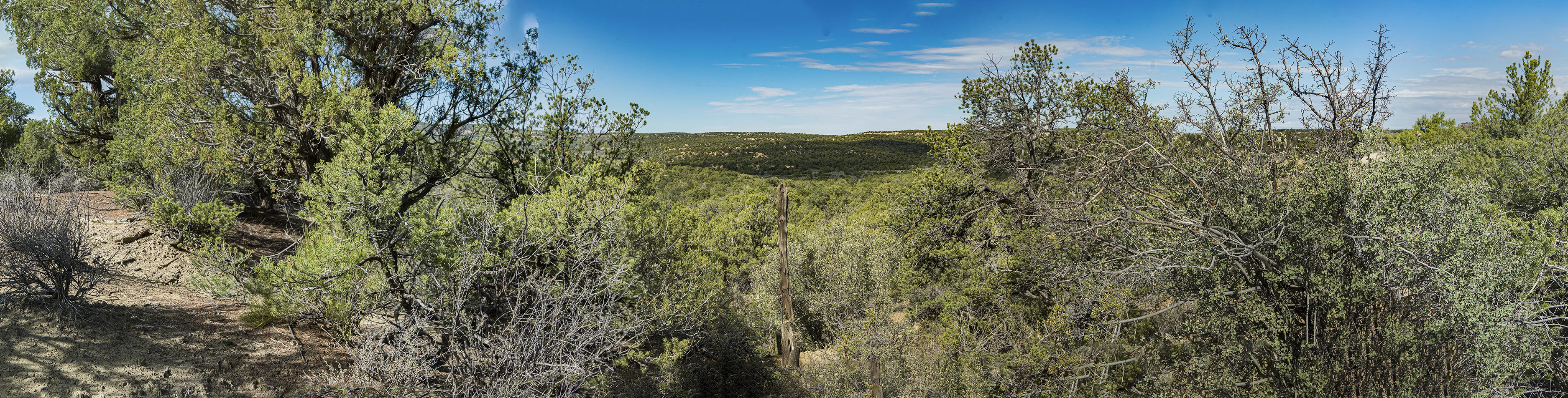 CO-NM Mile 271 on the Chaco Meridian