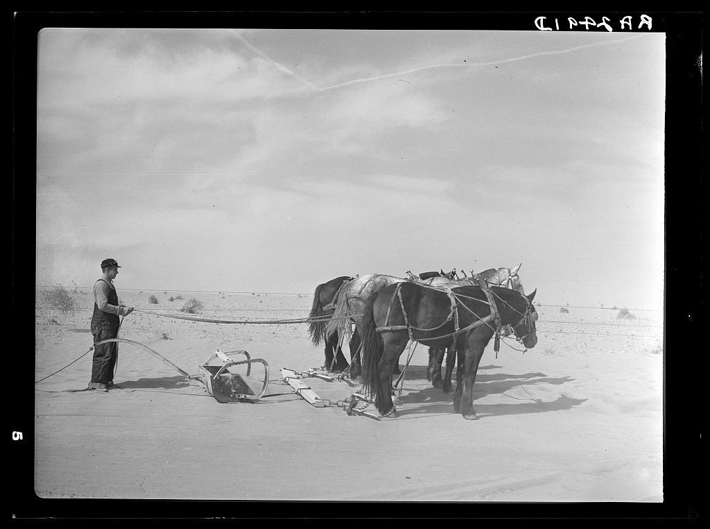 FSA photograph by Arthur Rothstein