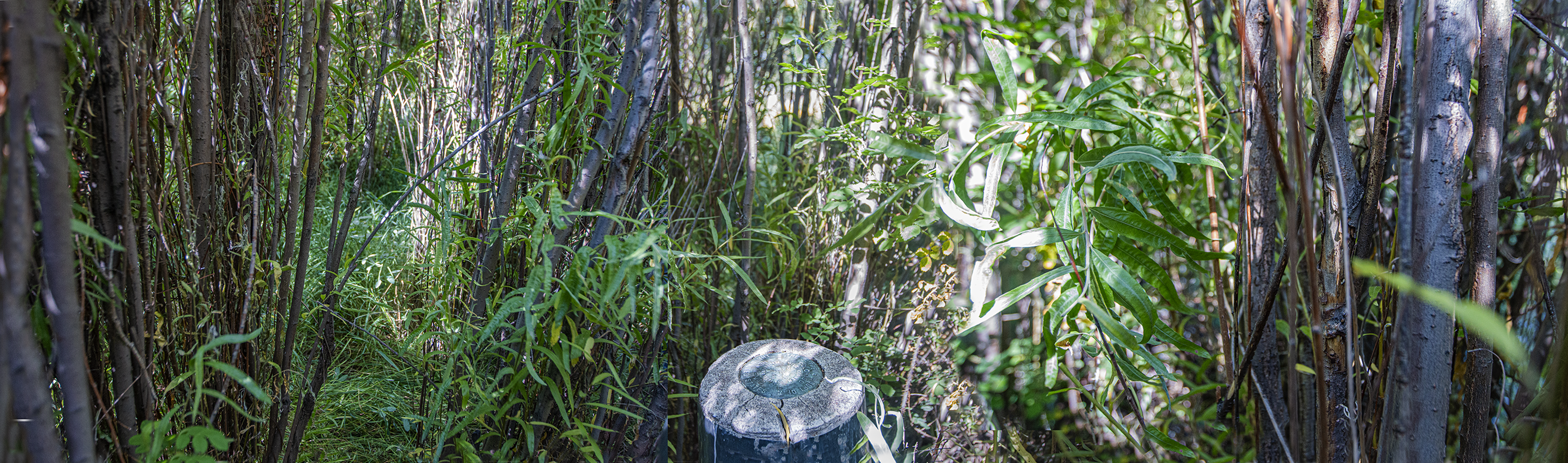 CO-NM Mile 166, looking west